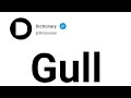 Gull Meaning In English