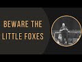 Beware the Little Foxes