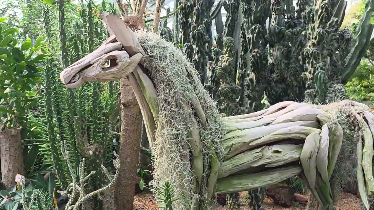 전주수목원   식물원 구경하다.