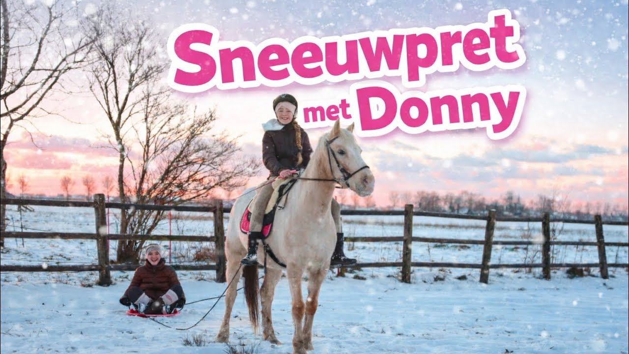 Sleeen met de paarden door de sneeuw ❄️ sneeuwpret