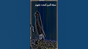 سورة الفاتحة بصوت القارئ #أنس_الأسدي