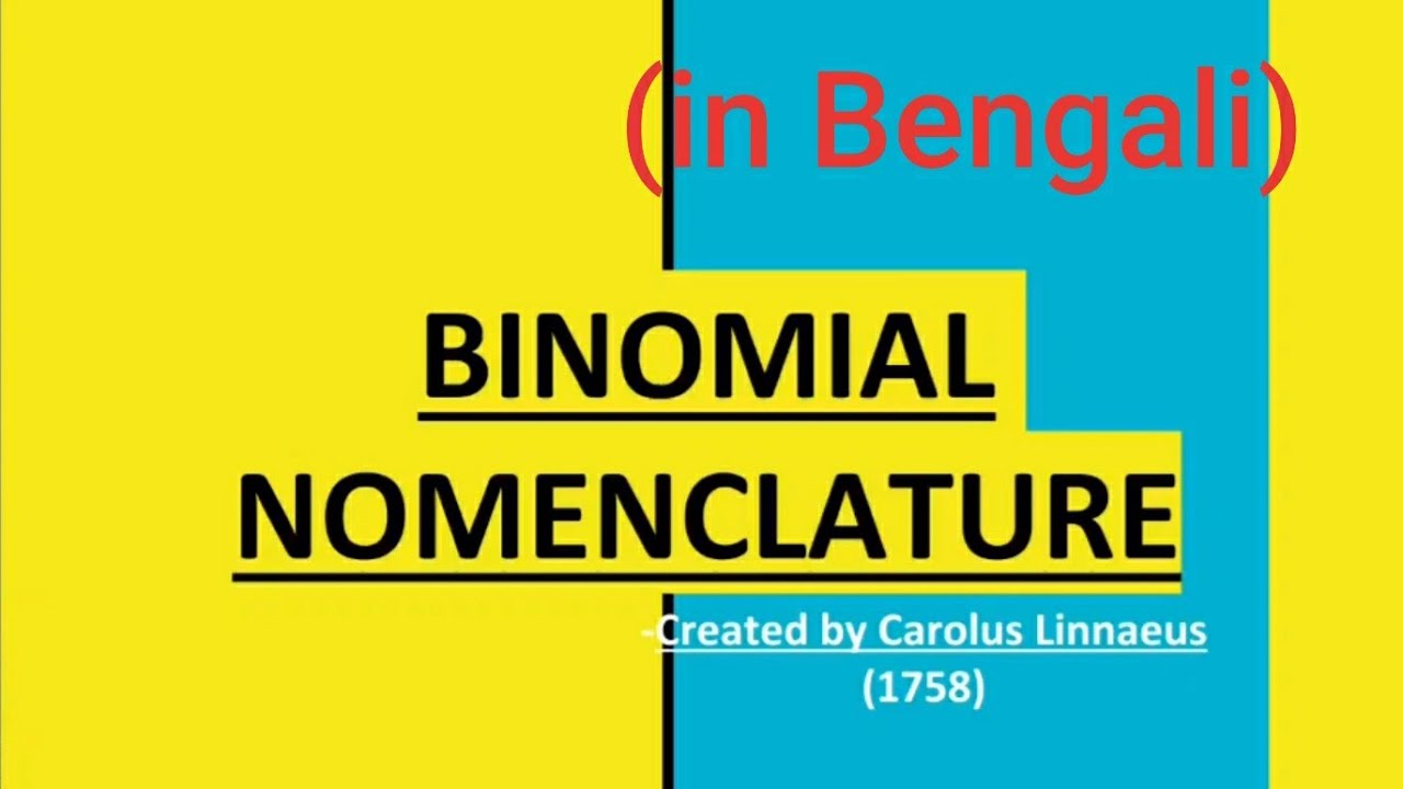 Binomial Nomenclature In Bengali YouTube