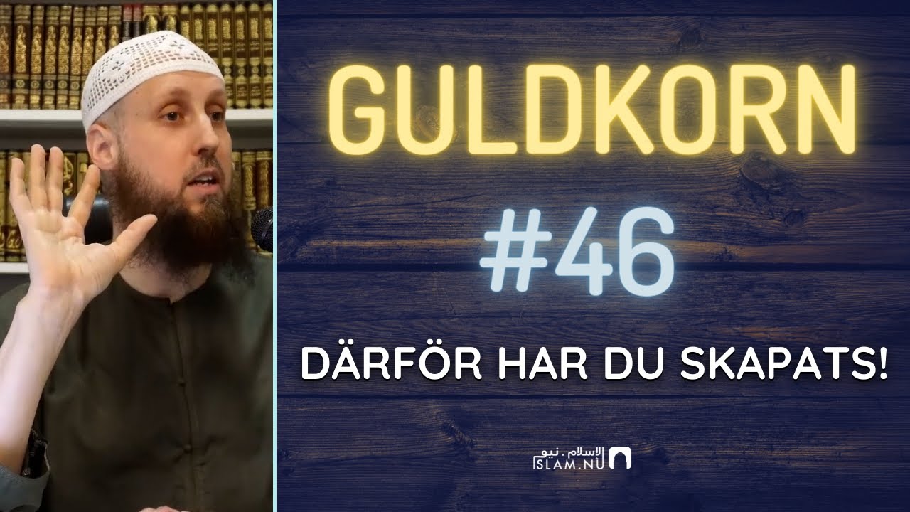 Därför har du skapats! | Guldkorn #46