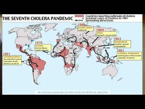 Холера где. Холера заболеваемость. Холера распространение. Холера карта распространения. Распространенность холеры.