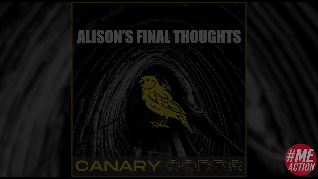 7 Alison's Final Thoughts