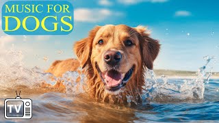 24 HOURS of Deep Separation Anxiety Music for Dog Relaxation! Helped 10 Million Dogs Worldwide! NEW!