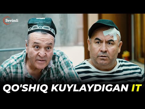 QAH QAHA - QO'SHIQ KUYLAYDIGAN IT