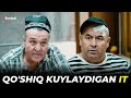 QAH QAHA - QO&#39;SHIQ KUYLAYDIGAN IT