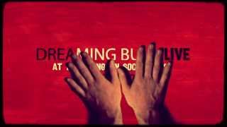 Dreaming Bull @ The Lexington Social House - Promo