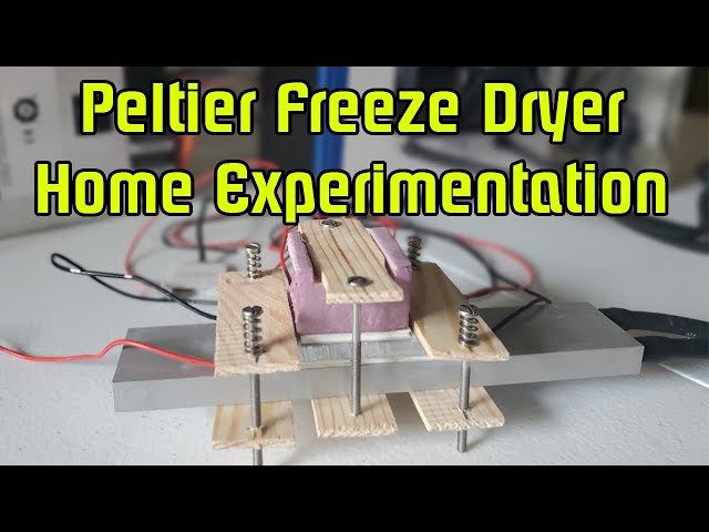 DIY Freeze Dryers You Can Make at Home - The Tech Edvocate