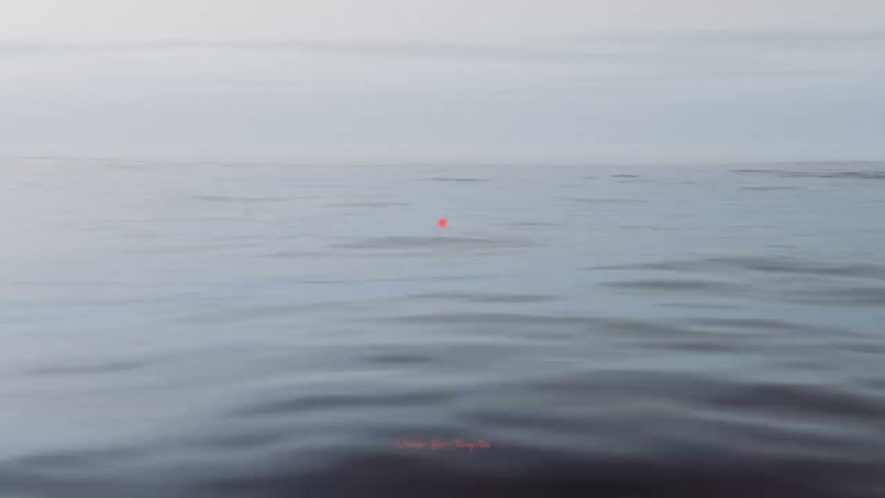 A Swinging in the Moon