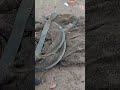 Кто-то из рыбаков потерял свой садок 🐟 🎣  #металлоискатель #metaldetecting #shorts