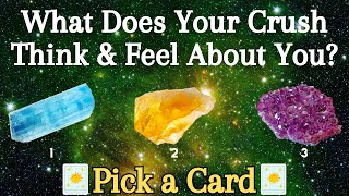 What Does Your Crush Think Of You? How Does Your Crush Feel About You?❀Pick a Card❀Tarot Reading