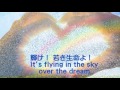 「OVER THE DREAM」