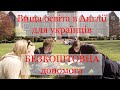 Університети в Англії | БЕЗКОШТОВНА допомога українцям | Які документи треба до ВУЗу | Віза в Англію