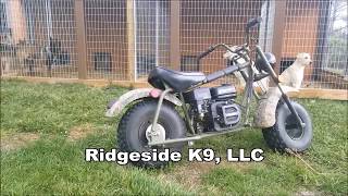 Baja 200cc Mini-Bike Review - From a Dog Business Point of View