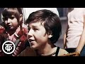 Песня Мопед не мопед лисапед не лисапед из фильма Рассказы о Кешке и его друзьях 1974 Песня Мопед не мопед лисапед не лисапед из фильма Рассказы о Кешке и его друзьях 1974