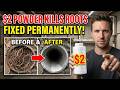 $2 Powder KILLS Tree Roots In Your Pipes. Plumbers Charge $300 For The This