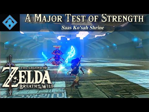 Saas Ko'sah Shrine | The Legend of Zelda, BOTW Shrine Tutorial