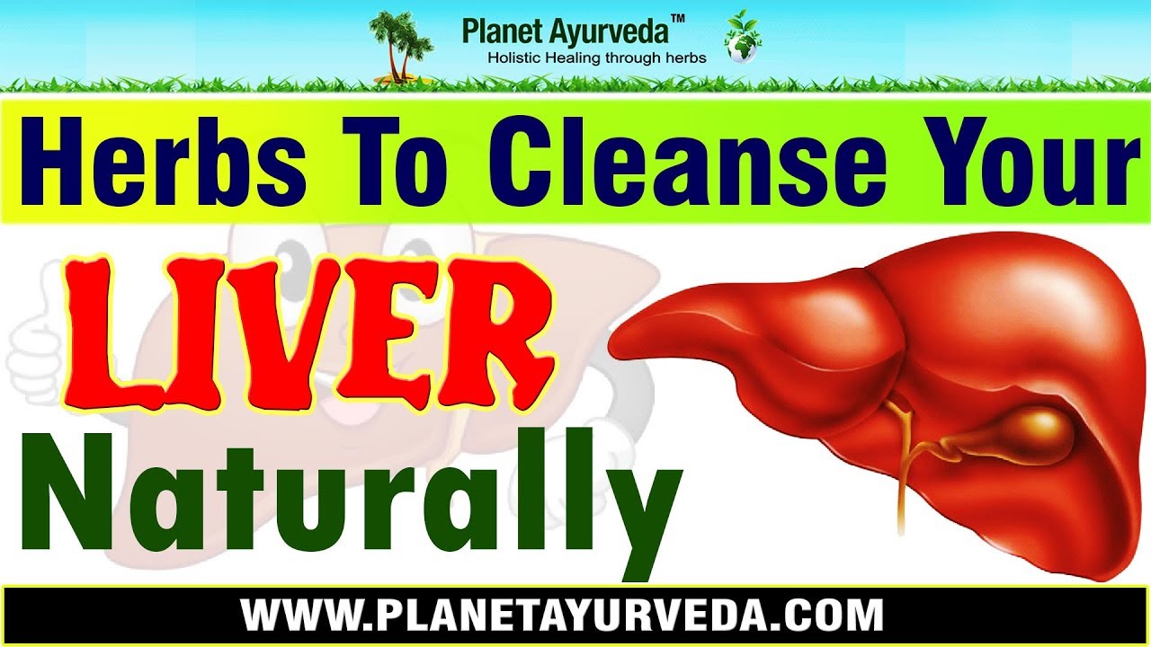 Herbs To Cleanse Your Liver Naturally Natural Liver Cleanse Youtube