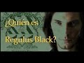 ¿Quién es Regulus Black? (Harry Potter)