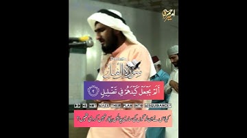 سورة الفيل || القاري امير حمزه || صلاة التراويح