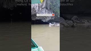 Hang Ca Cave in Ngo Dong River 🇻🇳 Tam Coc, Ninh Binh #vietnam  #vietnam   #travel