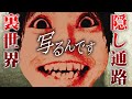 【フリーホラー】検証回 隠し通路発見！「恐怖の森」と「写るんです」は繋がっていた…【写るんです】