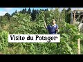 Visite du Jardin Potager !