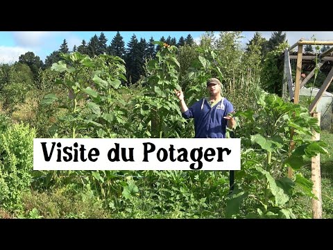 Vidéo: Choses Importantes Dans Le Jardin Et Le Potager à L'automne