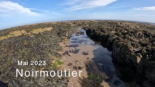 Pêche du bar à marée basse sur l'île de Noirmoutier