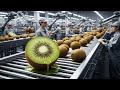 Inside the Kiwi Syrup Factory – From Fresh Kiwi to Premium Syrup | Full Process