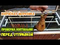 Электростатическая коптильня! Закоптил морковку! Тестовый запуск перед отправкой.