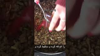 عدس پلو مواظب انگشتات باش Adas Poli Persian Food Recipes #عدس_پلو #adaspolo #persianfood