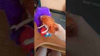 Fanka Sowelli Porwała Sowellę