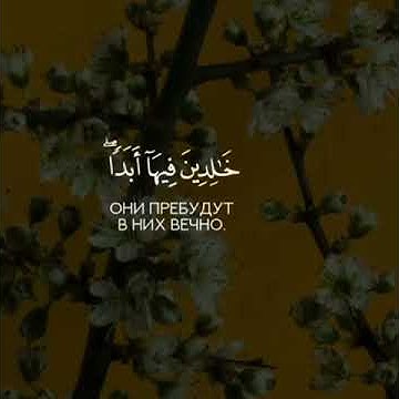 Сура Аль Баййина Аят 8