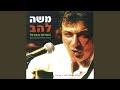 סוס עם כתם על המצח סוס עם כתם על המצח
