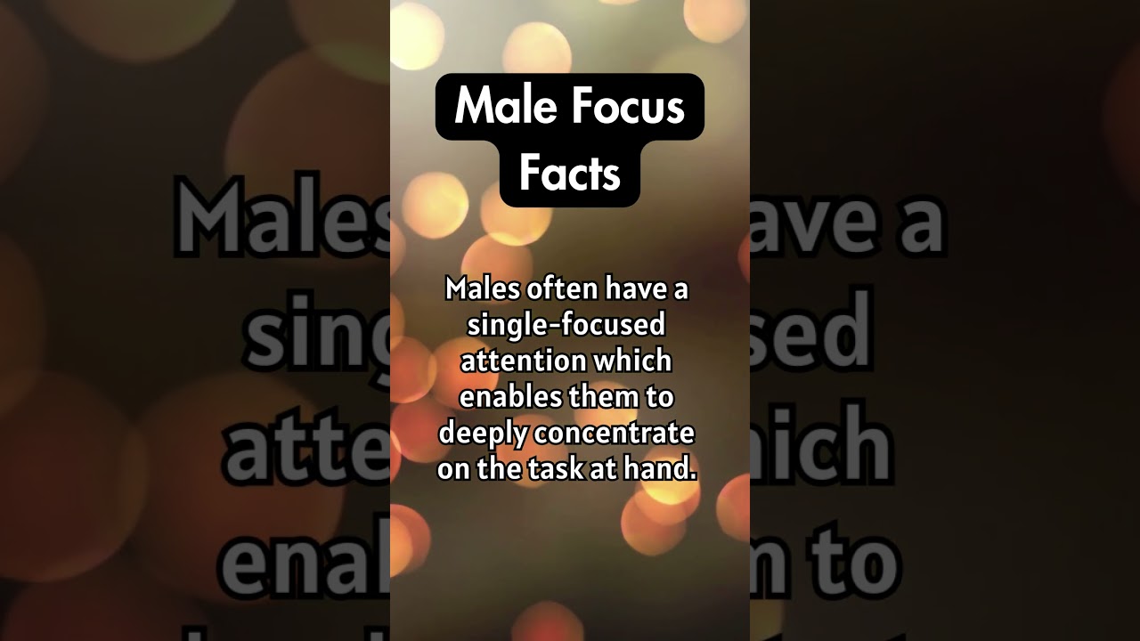 Mastering Single-Task Focus: Insights and Strategies for Men