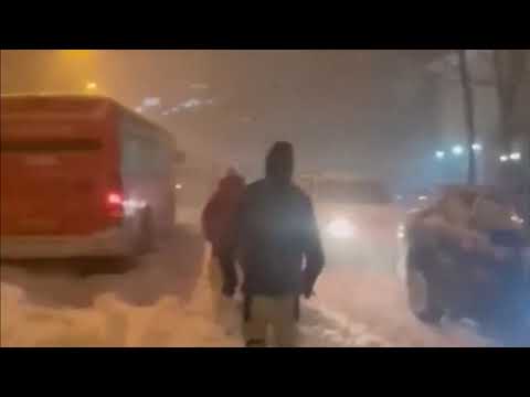 Extreme weather in Moscow and throughout Russia: falling trees, damaged cars