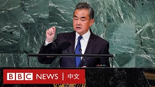 中國外長王毅：阻擋中國統一大業「必將被歷史車輪碾碎」－ BBC News 中文