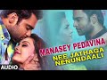 Manasey Pedavina Song - Arpita Chakraborty, Arijit Singh - Nee Jathaga Nenundaali (Telugu Movie)