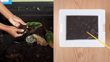 Build Your Own Exploratorium | Hot Pile