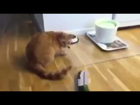 Völlig unerwartet 😂