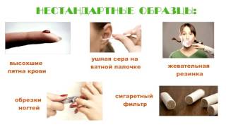 Инструкция по прохождению теста на установление родственных связей по ДНК Инструкция по прохождению теста на установление родственных связей по ДНК