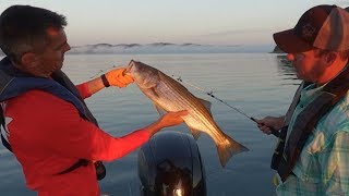 An Early Limit - Lake Cumberland Striped Bass
