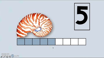 Grade K Module 3 Lesson 6