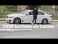 The best sounding exhaust burbles on any bmw in 10 minutes