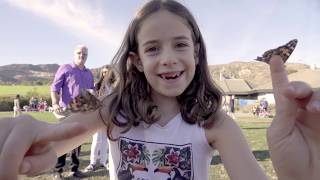 The Emily Shane Foundation - Butterfly Release 2017