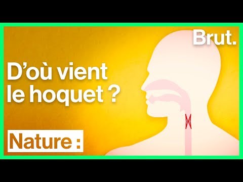 Vidéo: Qui est-ce que j'ai le hoquet ?