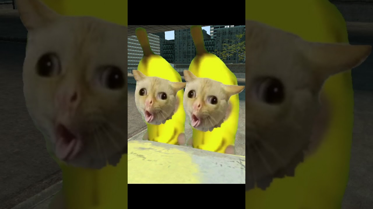 Banana cats spotted by a giant seagull? / 巨大カモメに見つかったバナナ猫たち？ #shorts #gmod #bananacat